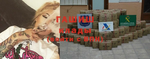 прущие грибы Белокуриха
