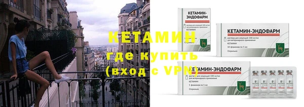 прущие грибы Белокуриха