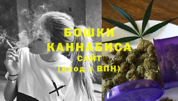 прущие грибы Белокуриха