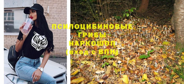 прущие грибы Белокуриха