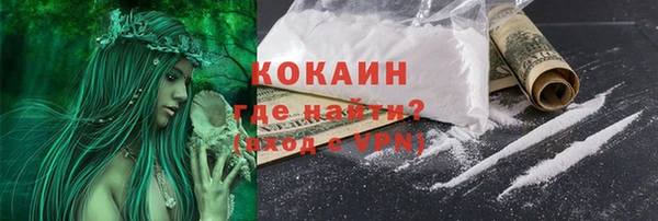 прущие грибы Белокуриха