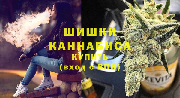 прущие грибы Белокуриха
